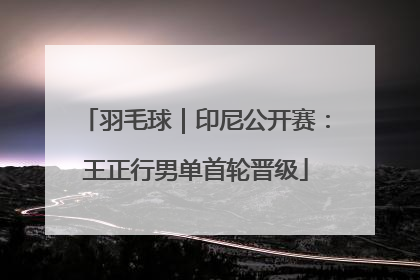 羽毛球｜印尼公开赛：王正行男单首轮晋级