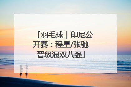 羽毛球｜印尼公开赛：程星/张驰晋级混双八强