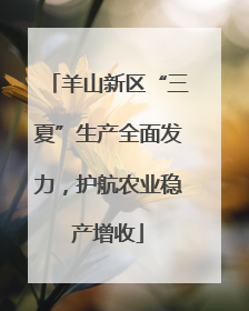 羊山新区“三夏”生产全面发力，护航农业稳产增收