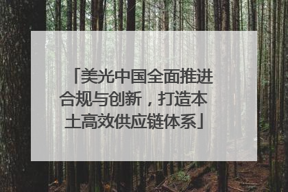 美光中国全面推进合规与创新，打造本土高效供应链体系