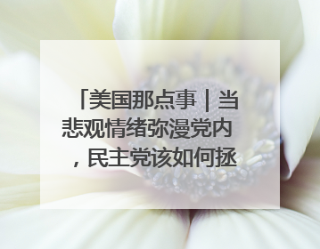美国那点事｜当悲观情绪弥漫党内，民主党该如何拯救自己？
