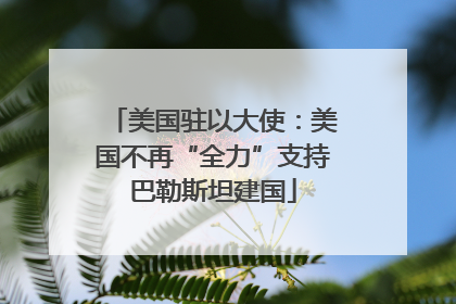 美国驻以大使：美国不再“全力”支持巴勒斯坦建国