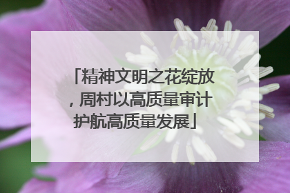 精神文明之花绽放，周村以高质量审计护航高质量发展