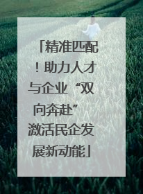 精准匹配！助力人才与企业“双向奔赴” 激活民企发展新动能