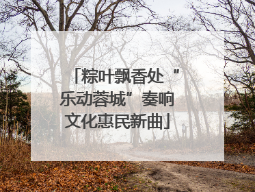 粽叶飘香处“乐动蓉城”奏响文化惠民新曲