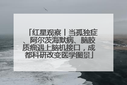 红星观察丨当孤独症、阿尔茨海默病、脑胶质瘤遇上脑机接口，成都科研改变医学图景