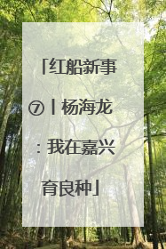 红船新事⑦丨杨海龙：我在嘉兴育良种