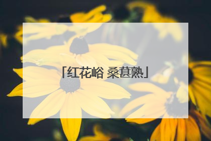 红花峪 桑葚熟