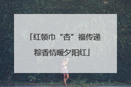 红领巾“杏”福传递 粽香情暖夕阳红