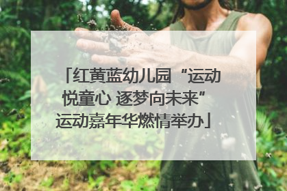红黄蓝幼儿园“运动悦童心 逐梦向未来”运动嘉年华燃情举办