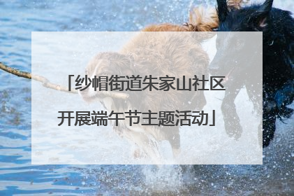 纱帽街道朱家山社区开展端午节主题活动