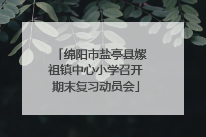 绵阳市盐亭县嫘祖镇中心小学召开期末复习动员会