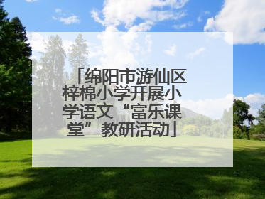 绵阳市游仙区梓棉小学开展小学语文“富乐课堂”教研活动