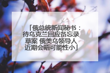 俄总统新闻秘书：待乌克兰回应备忘录草案 俄美乌领导人近期会晤可能性小