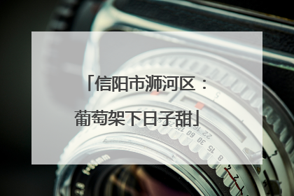 信阳市浉河区：葡萄架下日子甜