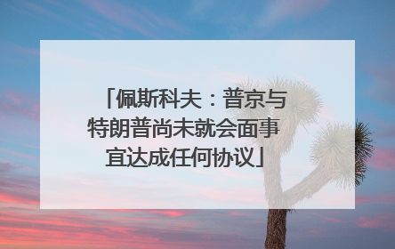 佩斯科夫：普京与特朗普尚未就会面事宜达成任何协议