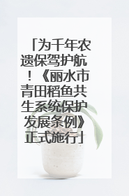 为千年农遗保驾护航！《丽水市青田稻鱼共生系统保护发展条例》正式施行