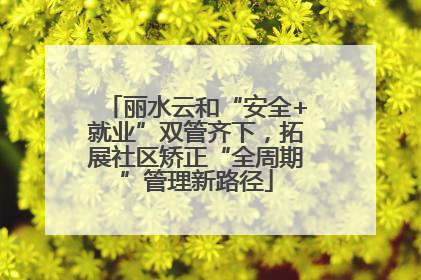 丽水云和“安全+就业”双管齐下，拓展社区矫正“全周期”管理新路径