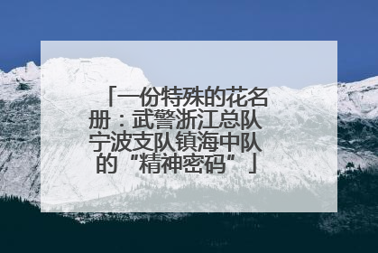 一份特殊的花名册：武警浙江总队宁波支队镇海中队的“精神密码”