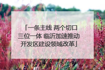 一条主线 两个切口 三位一体 临沂加速推动开发区建设领域改革