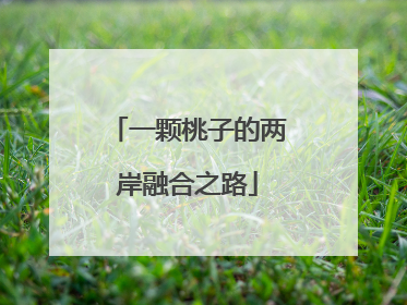 一颗桃子的两岸融合之路