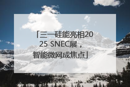 三一硅能亮相2025 SNEC展，智能微网成焦点
