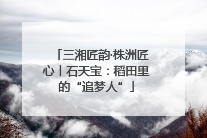 三湘匠韵·株洲匠心丨石天宝：稻田里的“追梦人”
