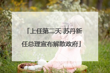 上任第二天 苏丹新任总理宣布解散政府