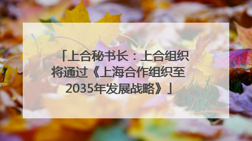 上合秘书长：上合组织将通过《上海合作组织至2035年发展战略》