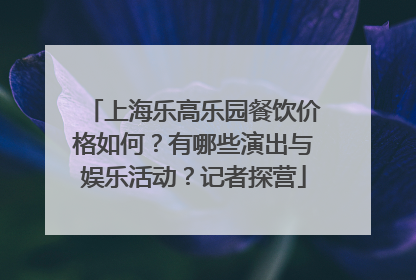上海乐高乐园餐饮价格如何？有哪些演出与娱乐活动？记者探营
