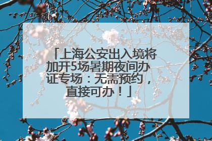 上海公安出入境将加开5场暑期夜间办证专场：无需预约，直接可办！