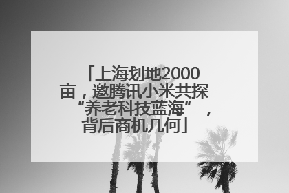 上海划地2000亩，邀腾讯小米共探“养老科技蓝海”，背后商机几何