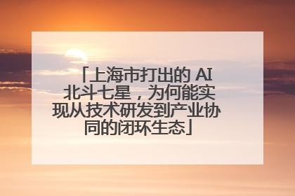 上海市打出的 AI 北斗七星，为何能实现从技术研发到产业协同的闭环生态