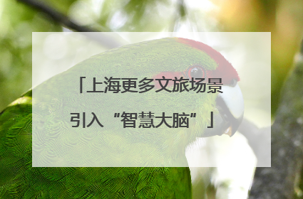 上海更多文旅场景引入“智慧大脑”