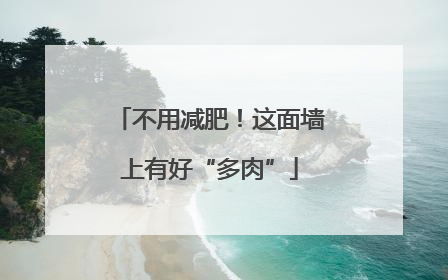 不用减肥！这面墙上有好“多肉”