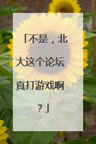 不是，北大这个论坛真打游戏啊？