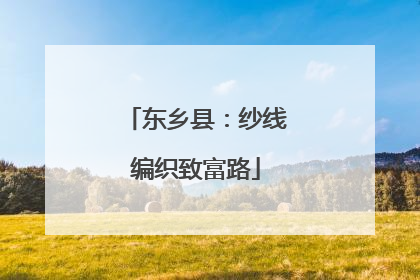 东乡县：纱线编织致富路
