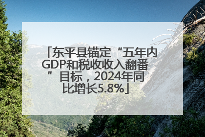 东平县锚定“五年内GDP和税收收入翻番”目标，2024年同比增长5.8%