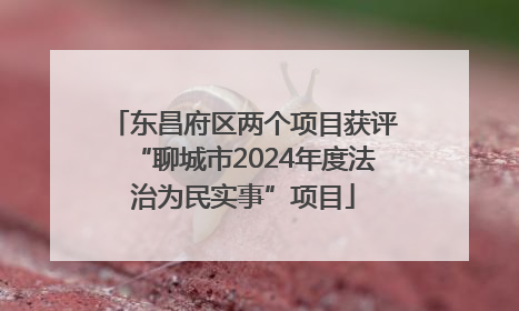 东昌府区两个项目获评“聊城市2024年度法治为民实事”项目