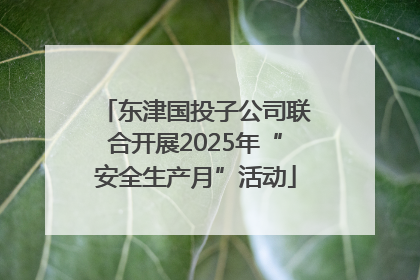 东津国投子公司联合开展2025年“安全生产月”活动