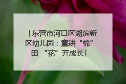 东营市河口区湖滨新区幼儿园：童耕“棉”田 “花”开成长