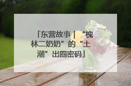 东营故事｜“槐林二奶奶”的“土潮”出圈密码
