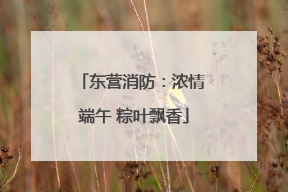 东营消防：浓情端午 粽叶飘香
