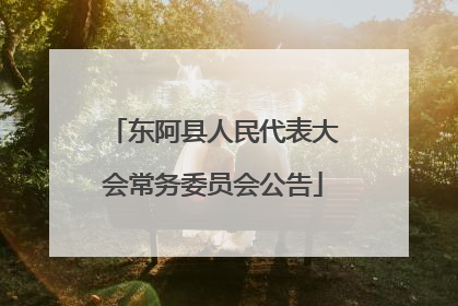 东阿县人民代表大会常务委员会公告