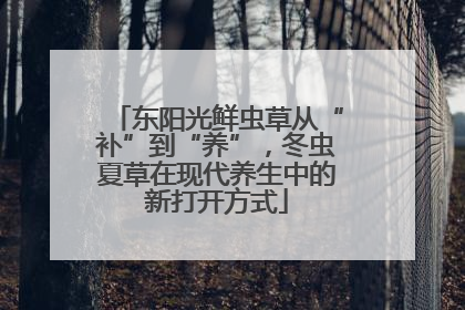 东阳光鲜虫草从“补”到“养”，冬虫夏草在现代养生中的新打开方式
