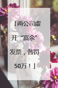 两公司虚开“富余”发票，各罚50万！