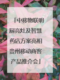 中移物联明厨亮灶及智慧药店方案亮相贵州移动商客产品推介会