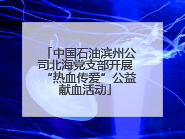 中国石油滨州公司北海党支部开展“热血传爱”公益献血活动