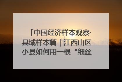 中国经济样本观察·县域样本篇｜江西山区小县如何用一根“细丝”拉出百亿级产业？