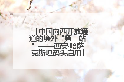 中国向西开放通道的境外“第一站”——西安·哈萨克斯坦码头启用